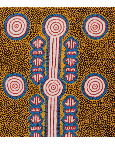 art_aborigene_australie_Michael Japaljarri