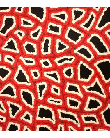 art peinture aborigene australie galerie gondwana vignette