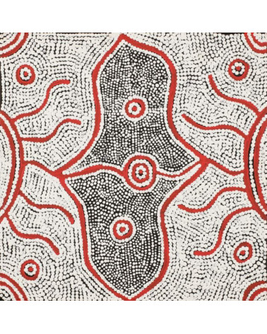 Reva Nungarrayi Dickson  mina mina Jukurrpa - Peinture art Aborigène Australie